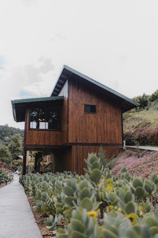 Lauraceas Lodge San Gerardo de Dota Bagian luar foto