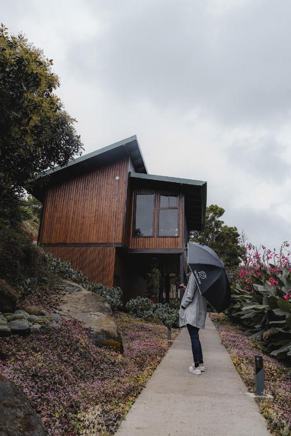 Lauraceas Lodge San Gerardo de Dota Bagian luar foto